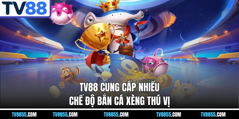 nhà cái cung cấp nhiều chế độ bắn cá xèng tv88 thú vị nhà cái cung cấp nhiều chế độ bắn cá xèng tv88 thú vị